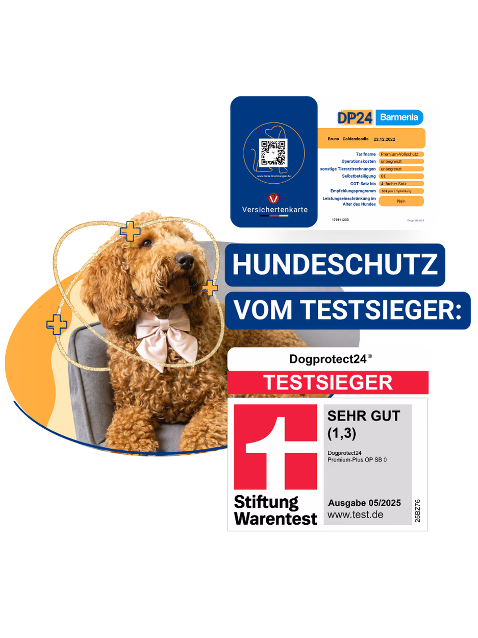 Hundeschutz vom Testsieger – Dogprotect24 Versichertenkarte und Stiftung Warentest Sehr Gut (1,3)