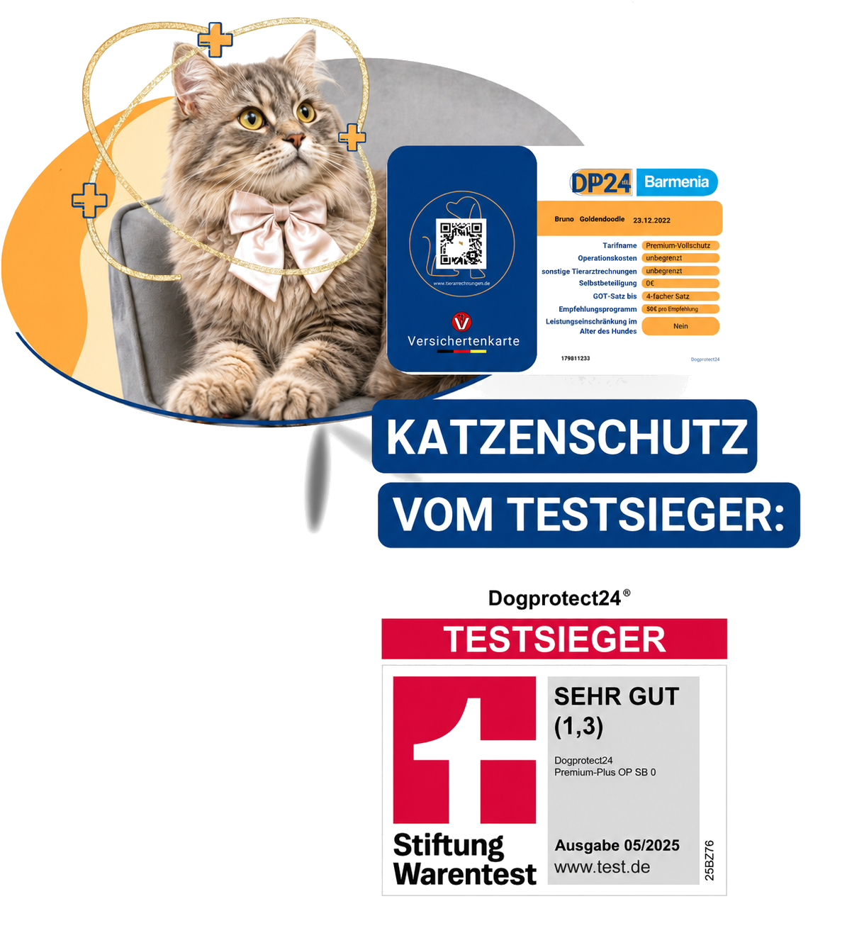 Katzenkrankenversicherung – Katze mit Versichertenkarte und Stiftung Warentest Sehr Gut (1,3)