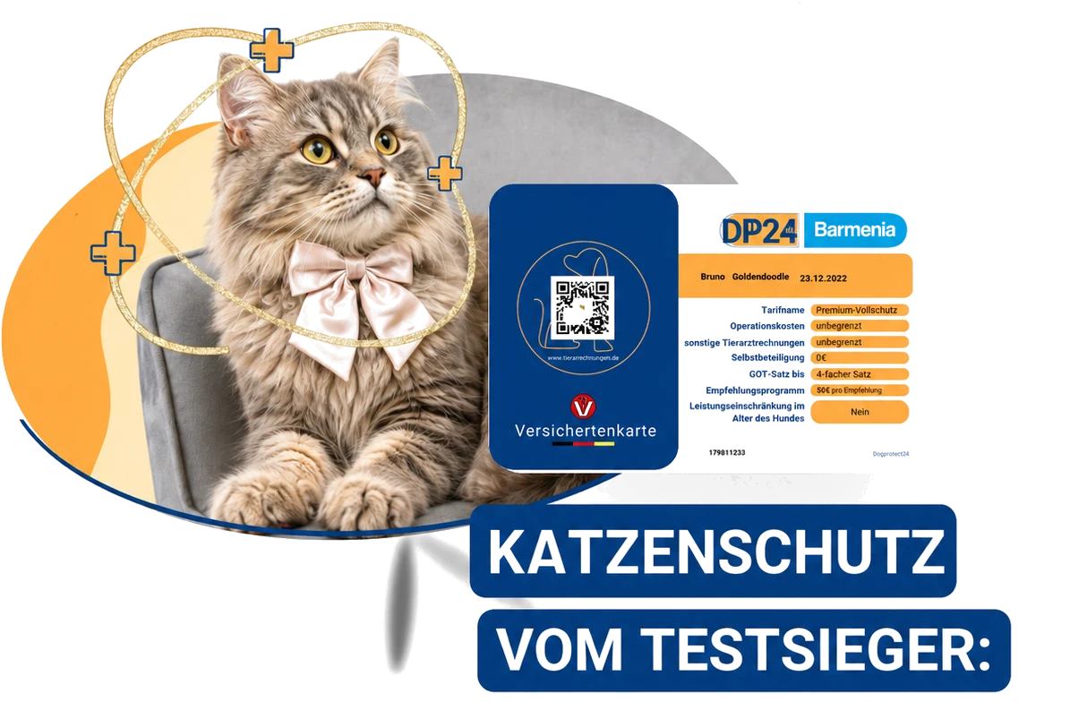 Katzenkrankenversicherung