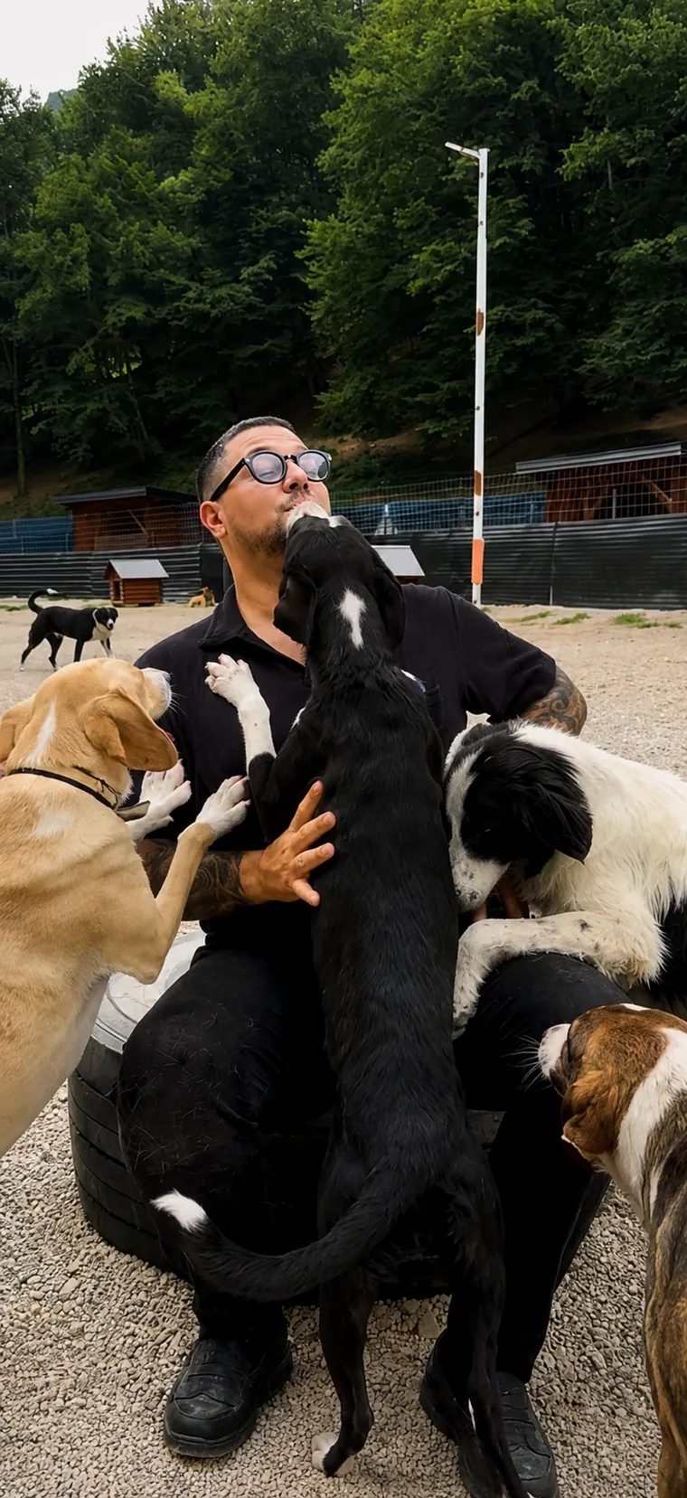 Gerettete Hunde springen zur Begrüßung hoch