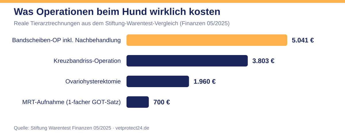 Balkendiagramm: Reale Operationskosten beim Hund aus dem Stiftung-Warentest-Vergleich 05/2025 – Bandscheiben-OP 5.041 Euro, Kreuzbandriss-OP 3.803 Euro, Ovariohysterektomie 1.960 Euro, MRT-Aufnahme 700 Euro