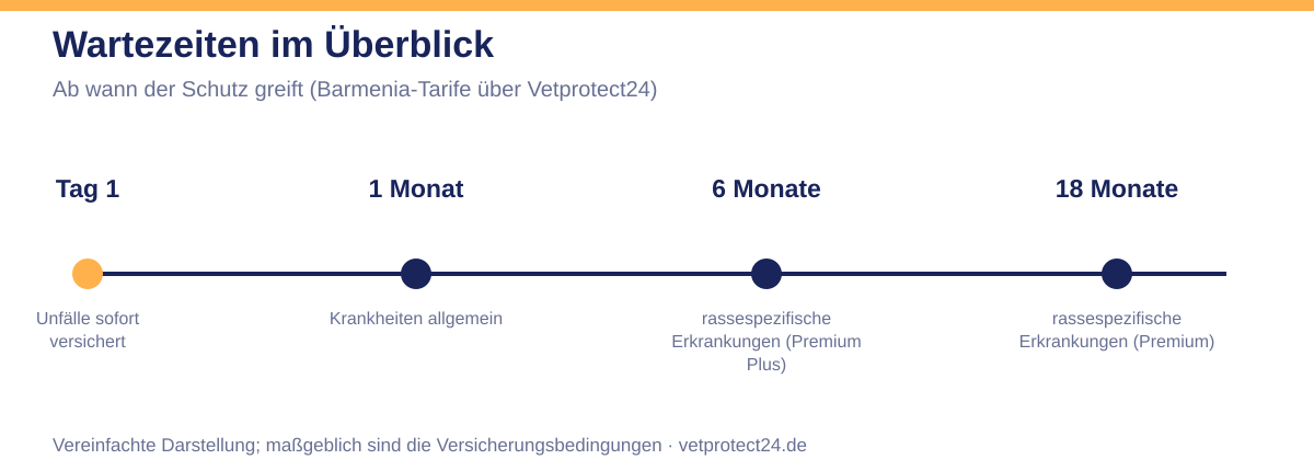Zeitstrahl der Wartezeiten in der Katzenkrankenversicherung: Unfälle ab Tag 1, Krankheiten nach 1 Monat, rassespezifische Erkrankungen nach 6 Monaten (Premium Plus) beziehungsweise 18 Monaten (Premium)